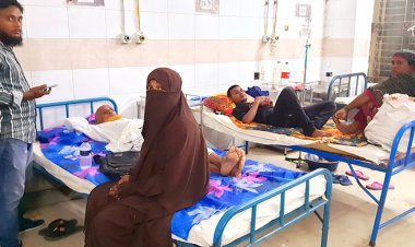 সিরাজগঞ্জে আরও ৪৫ জনের ডেঙ্গু শনাক্ত