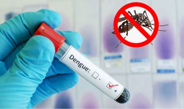 চট্টগ্রামে একদিনে ডেঙ্গু আক্রান্ত হয়ে হাসপাতালে ভর্তি ১৩২