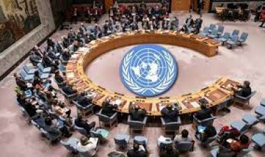 ফিলিস্তিন যুদ্ধ নিয়ে জাতিসংঘের জরুরি বৈঠক