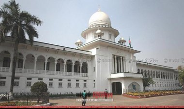 বিচারপতিকে নিয়ে ‘বিরূপ মন্তব্য’: বিএনপি নেতা হাবিবকে হাইকোর্টে তলব