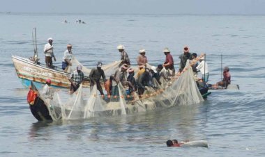 ২৭ ভারতীয় জেলেকে গ্রেপ্তার করল শ্রীলঙ্কা