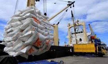 খাদ্য আমদানিতে রেকর্ড খরচ