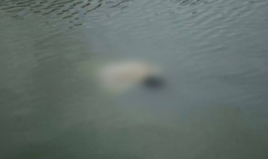 নাশতা তৈরি করছিলেন মা, পুকুরে ডুবে প্রাণ গেলো শিশুর