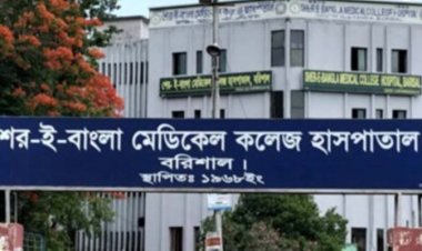 ২৪ ঘণ্টায় বরিশালে ভর্তি ১২৯ ডেঙ্গুরোগী, মৃত্যু ৩