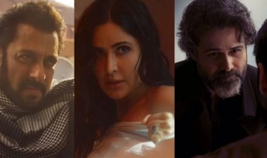 টাইগার থ্রি: ইমরান হাশমির সঙ্গে লড়াই, ক্যাটরিনার তোয়ালে কাণ্ড