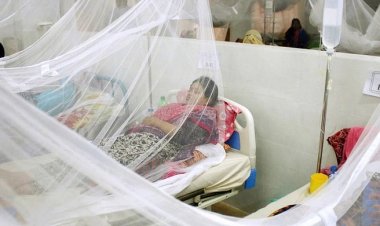  বরিশালে ডেঙ্গুতে ৩ জনের মৃত্যু