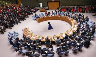 গাজার হাসপাতালে হামলা : জরুরি বৈঠক ডাকল নিরাপত্তা পরিষদ