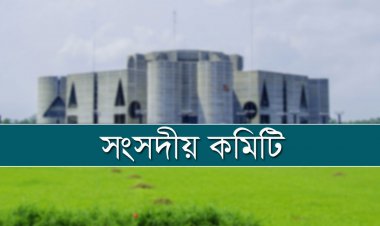 সমাজকল্যাণে জনবল নিয়োগ দিতে সংসদীয় কমিটির সুপারিশ
