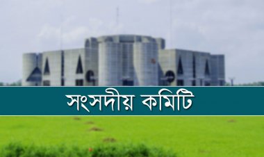 শান্তিরক্ষা মিশনের অর্জন নিয়ে হালনাগাদ তথ্য চায় সংসদীয় কমিটি