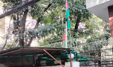 ফিলিস্তিনে নিহতদের স্মরণে বিএনপির জাতীয় শোক পালন