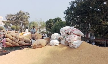 ‘বাড়িতে ধান নাই, দাম বাড়লেও আমাদের লাভ হচ্ছে না’