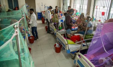 ডেঙ্গুতে ঝড়লো আরও ১৭ প্রাণ, হাসপাতালে ভর্তি ২০১৪