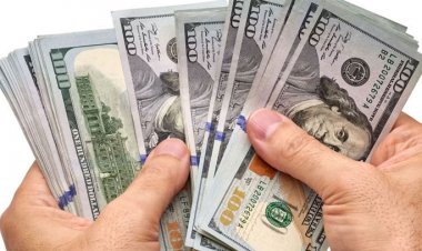 ডলারের একক দর কার্যকরে নির্দেশনা বাফেদার