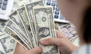 মান কমলো ডলারের