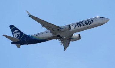 যুক্তরাষ্ট্রে যাত্রীবাহী প্লেন বিধ্বস্তের চেষ্টা, আরোহী গ্রেফতার