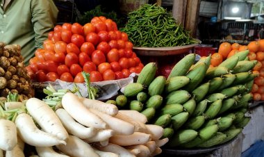 ‘সবচেয়ে ভালো হতো যদি না খেয়ে থাকতে পারতাম’