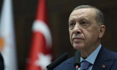 হামাস নিজের ভূমি রক্ষায় লড়ছে, তারা সন্ত্রাসী সংগঠন নয়: এরদোয়ান