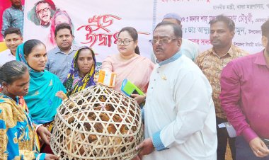 সারাদেশে ২০০ পেডি সাইলো নির্মাণ করবে সরকার: খাদ্যমন্ত্রী