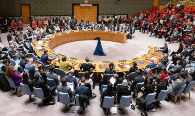 জাতিসংঘে যুদ্ধবিরতির প্রস্তাব পাস