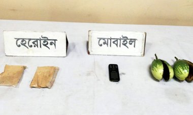 বেগুনের ভেতর লুকানো ছিল ১০৫ গ্রাম হেরোইন