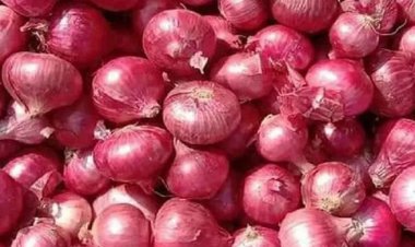 পেঁয়াজ রপ্তানিতে সর্বনিম্ন মূল্যসীমা বেঁধে দিলো ভারত
