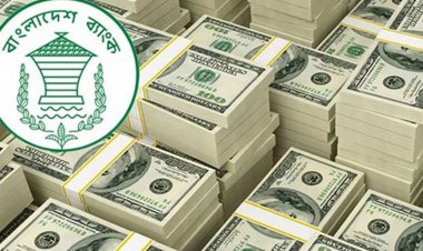 ২৭ দিনে এল ১৬৫ কোটি ডলার বাড়তি প্রণোদনায় বাড়ছে রেমিট্যান্স