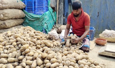 এবার আলু আমদানি করবে সরকার: বাণিজ্যমন্ত্রী