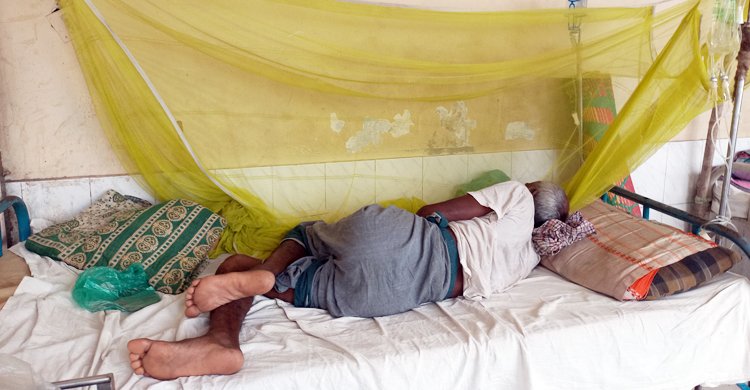 রাজবাড়ীতে আরও ৫২ জনের ডেঙ্গু শনাক্ত
