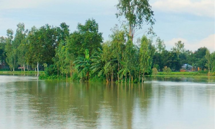 গাইবান্ধায় তিস্তার পানি বিপৎসীমার ওপরে, প্লাবিত নিম্নাঞ্চল
