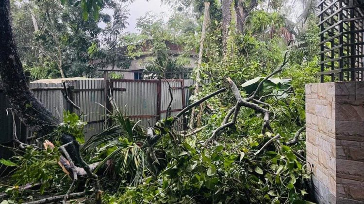 ফরিদপুরে এক মিনিটের ঝড়ে শতাধিক ঘরবাড়ি ক্ষতিগ্রস্ত
