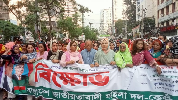 আপনি কি রাজকন্যা,আপনার বাবা কি রাজা ছিলেন প্রধানমন্ত্রীকে রিজভী