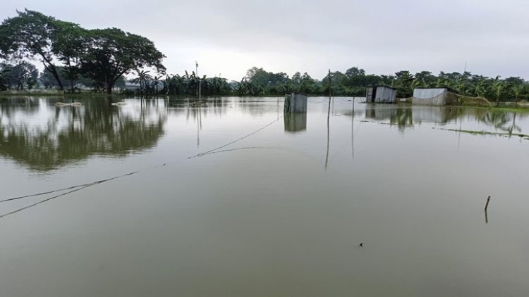 চার জেলায় ফসল ও মাছের খামারের ব্যাপক ক্ষতি