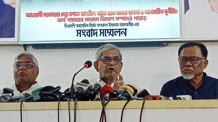 সরকার দেশের অর্থনীতিকে মহাবিপর্যয়ের দিকে ঠেলে দিয়েছে: মির্জা ফখরুল