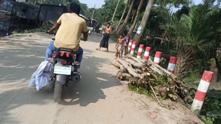 কনস্টেবলকে রেখে ইলিশ নিয়ে পালালেন পুলিশ কর্মকর্তা