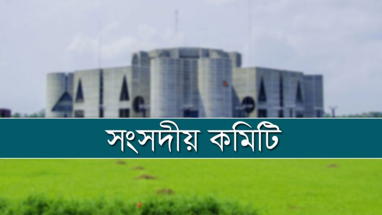 সমাজকল্যাণে জনবল নিয়োগ দিতে সংসদীয় কমিটির সুপারিশ