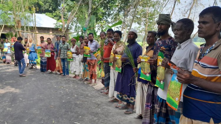 ভেজাল বীজে কপাল পুড়ল শতাধিক কৃষকের