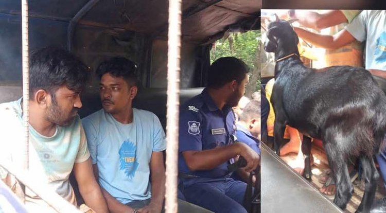 ছাগল চুরি করে পালানোর সময় যুবলীগের ২ কর্মী আটক!