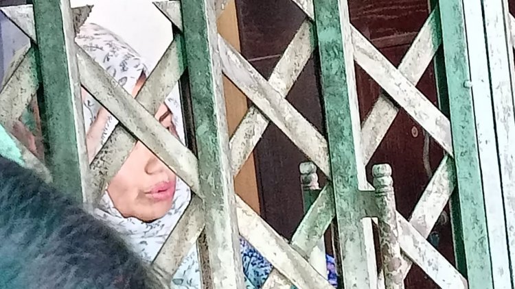 নিরাপত্তাহীনতায় ভুগছেন মির্জা আব্বাসের সহধর্মিণী