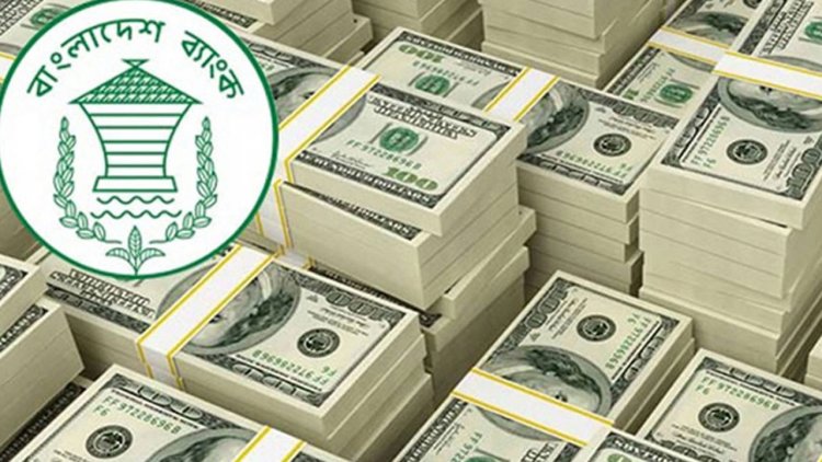 ২৭ দিনে এল ১৬৫ কোটি ডলার বাড়তি প্রণোদনায় বাড়ছে রেমিট্যান্স