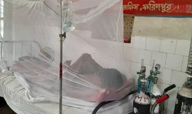 ডেঙ্গু: ফরিদপুরে প্রাণ গেল ৫ জনের