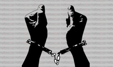 বগুড়ায় দুই মামলায় আসামি ৭৪, গ্রেফতার ৪৬