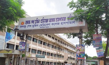 ফরিদপুরে ডেঙ্গুতে নারীসহ আরও দুইজনের মৃত্যু