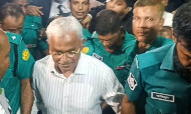 রিমান্ড শেষে কারাগারে বিএনপি নেতা আলাল