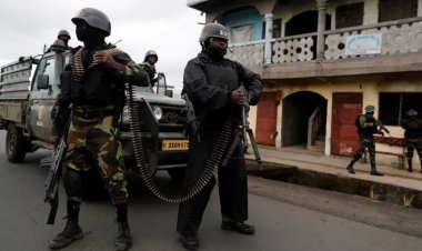 ক্যামেরুনে বন্দুকধারীদের হামলায় নিহত কমপক্ষে ২০