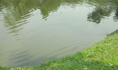 কুমিল্লায় পানিতে ডুবে ৩ বোনের মৃত্যু