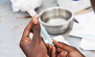 চিকুনগুনিয়ার প্রথম টিকার অনুমোদন দিল যুক্তরাষ্ট্র