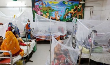ডেঙ্গুতে আরও ১১ জনের মৃত্যু, শনাক্ত ১৩৩৩