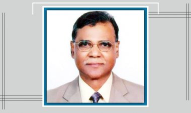জবি উপাচার্য ইমদাদুল হক মারা গেছেন