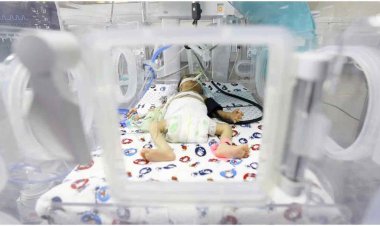 আল-শিফা হাসপাতাল: মৃত্যুর প্রহর গুনছে ইনকিউবেটরে থাকা ৪৫ শিশু