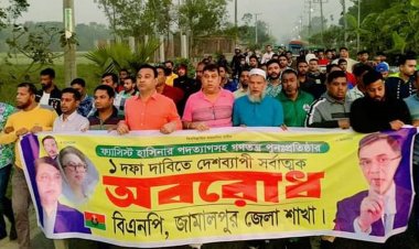 এই সরকার দেশে অচলাবস্থার সৃষ্টি করছে- ওয়ারেছ আলী মামুন 